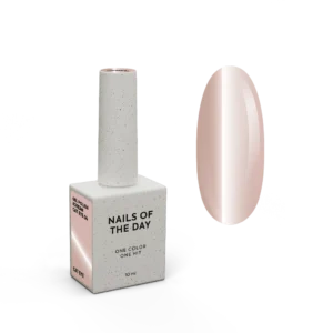 NAILSOFTHEDAY Korean cat eye 04 \10 мл